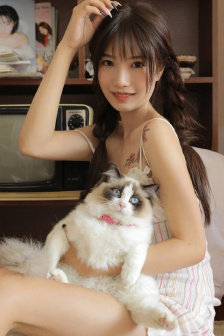 保镖1993在线